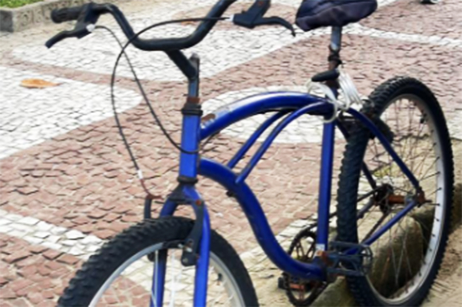 Divulgação/Prefeitura de Santos