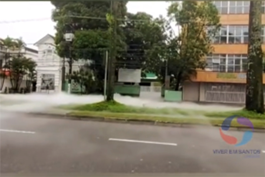 Reprodução/Viver em Santos e Região