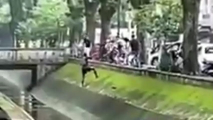 (Foto: Reprodução/Viver em Santos e Região)