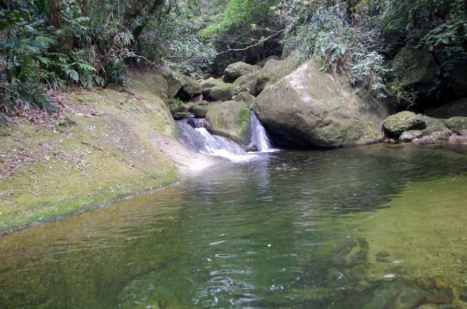 Divulgação/Parque Estadual Serra do Mar