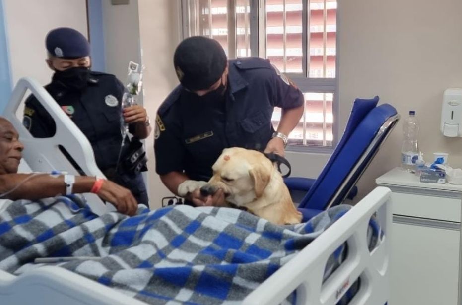 Divulgação/Prefeitura de Santos