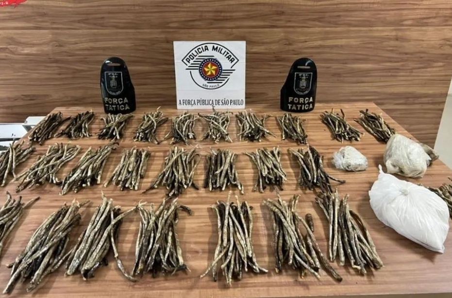 Divulgação/Polícia Militar