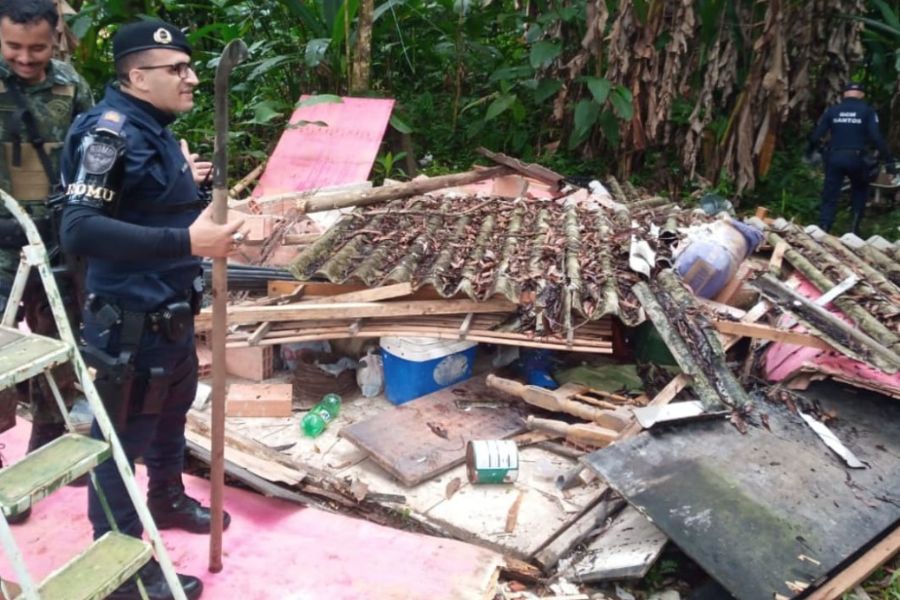 Esconderijo com material de caça ilegal é destruído em Santos