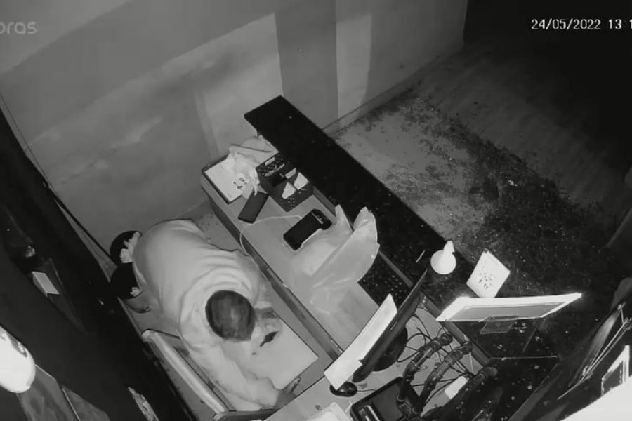 Reprodução/Arquivo pessoal