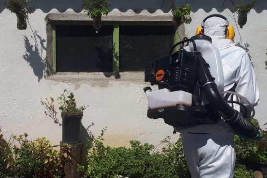 Divulgação/Prefeitura de Santos