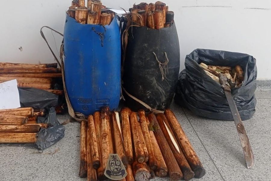 (Foto: Divulgação/Polícia Militar Ambiental)