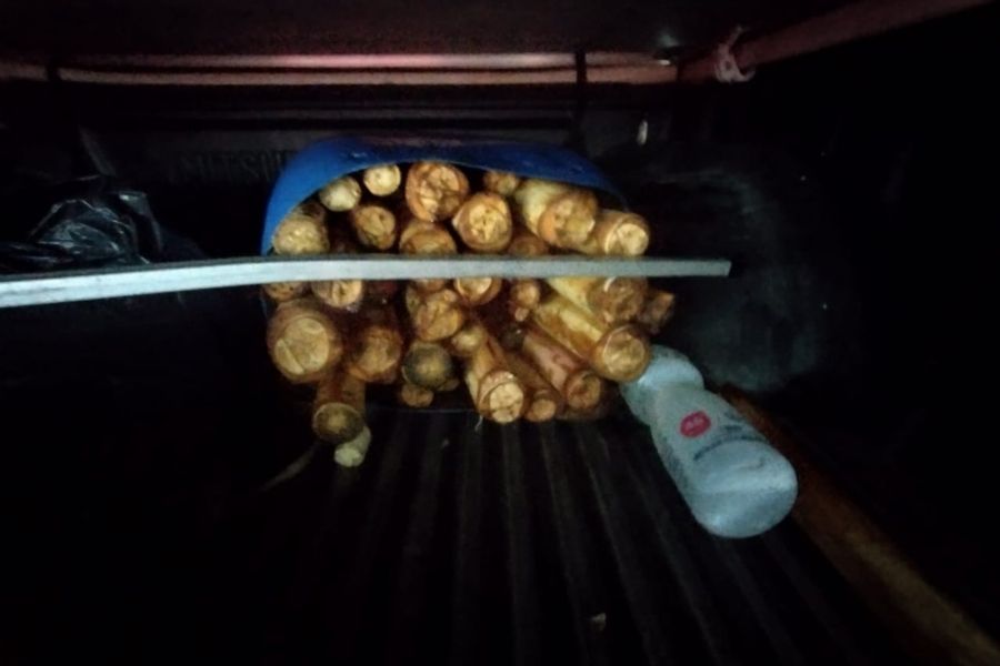 Foragido da Justiça é preso em Bertioga após ser flagrado com palmito ilegal