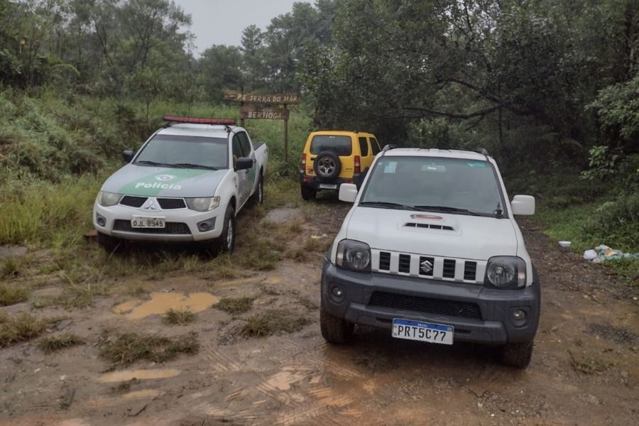 Foragido da Justiça é preso em Bertioga após ser flagrado com palmito ilegal