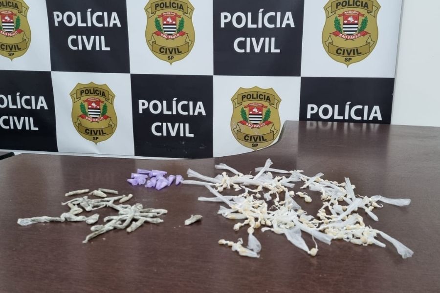 (Foto: Divulgação/Polícia Civil)