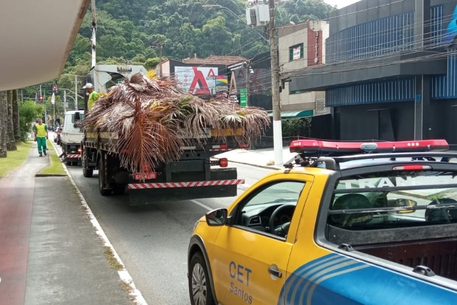 (Foto: Divulgação/Prefeitura de Santos)