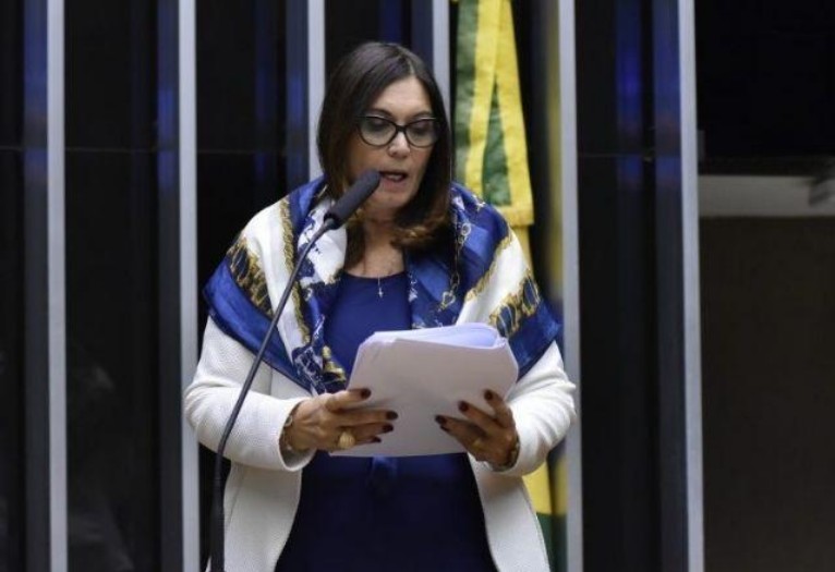 Zeca Ribeiro/Câmara dos Deputados