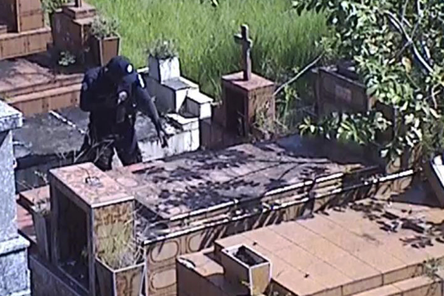 Divulgação/Prefeitura de Santos