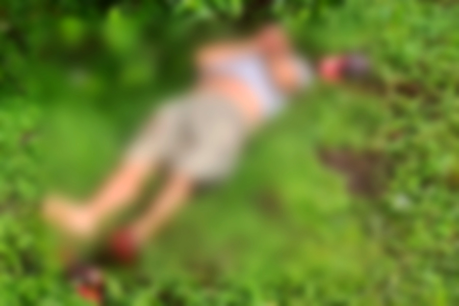 Divulgação/Polícia Militar Rodoviária