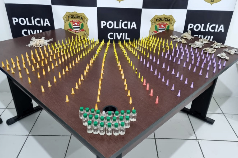 Divulgação/Polícia Civil