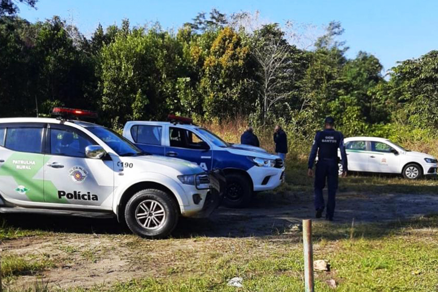 Divulgação/Prefeitura de Santos