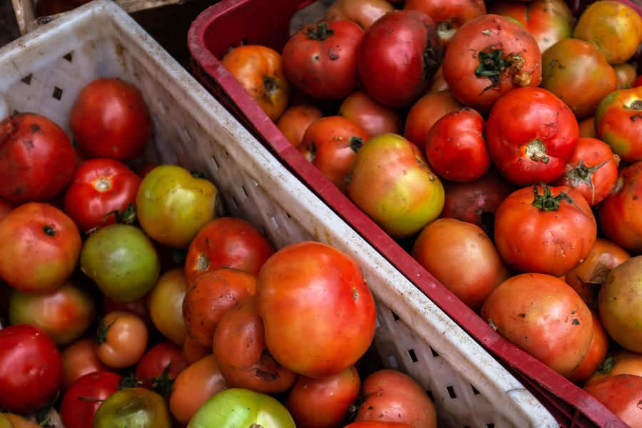 Eduardo Anizelli/ Folhapress