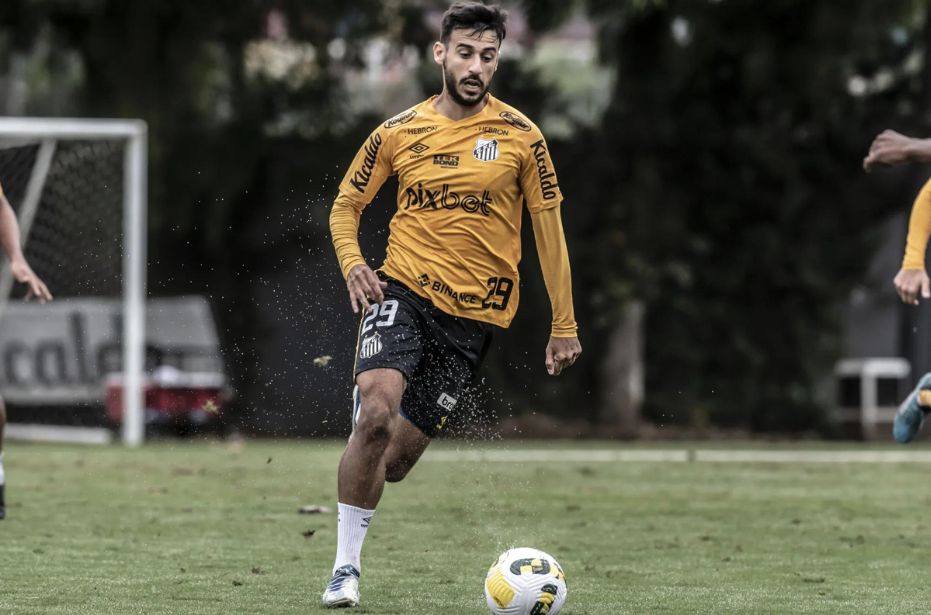 Foto: Ivan Storti / Santos FC