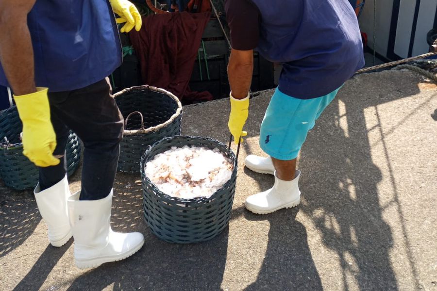 Divulgação/PM Ambiental