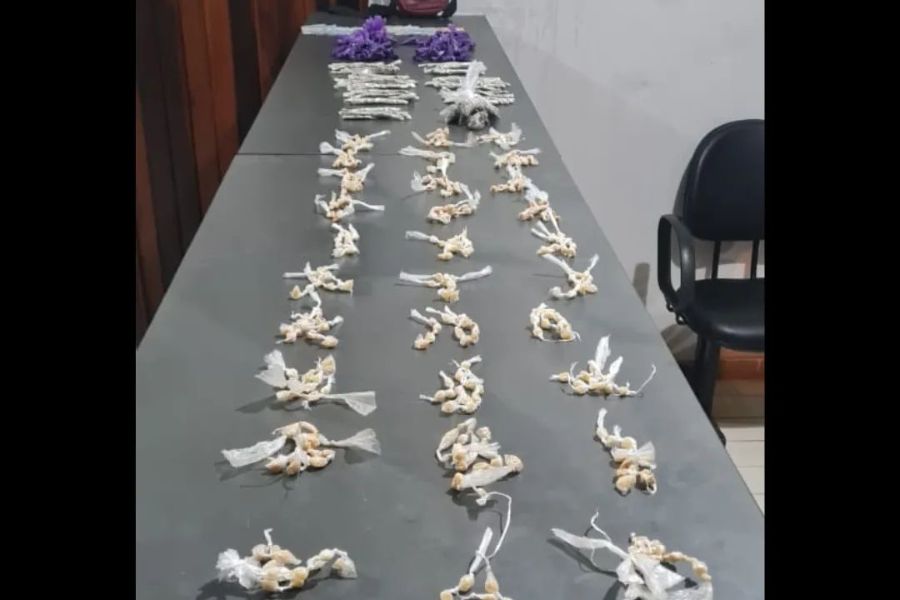 Divulgação/29º BPM/I