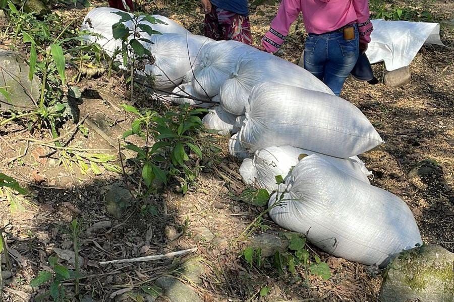 (Foto: Divulgação/Polícia Civil)