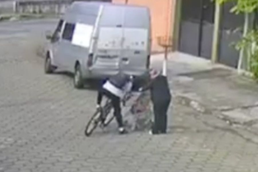 Reprodução/Vigilância Solidária