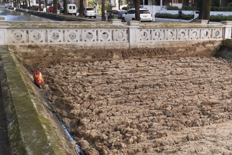 Viver em Santos e Região/Reprodução