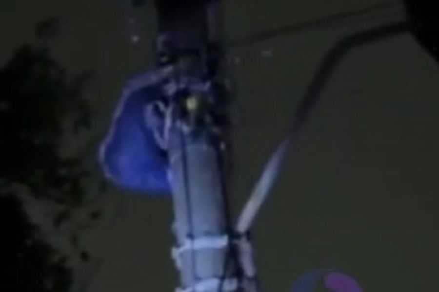 Foto: Reprodução/Viver em Santos e Região