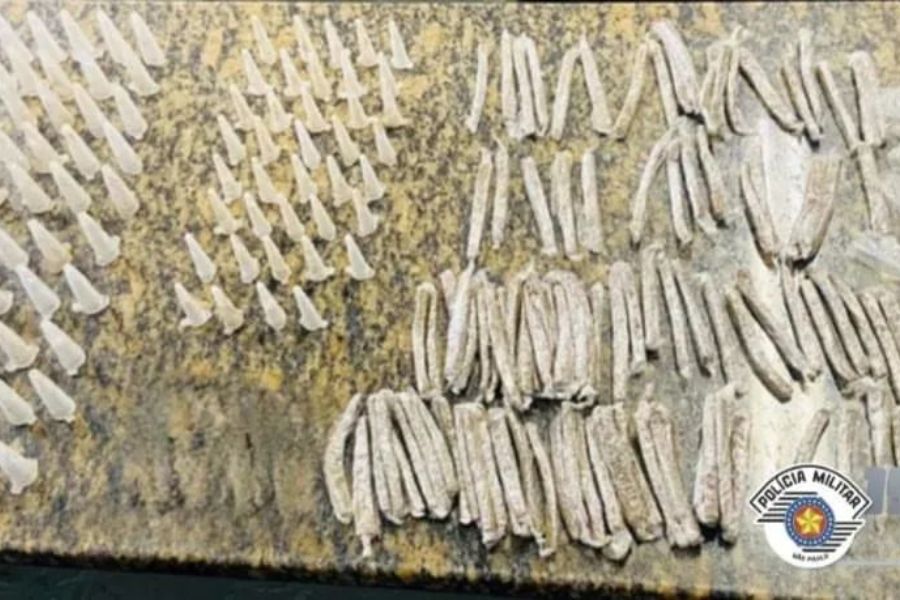 Divulgação/Polícia Militar