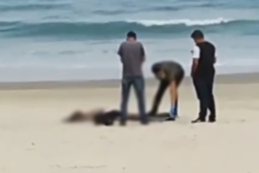 Reprodução/Guarujá Mil Grau