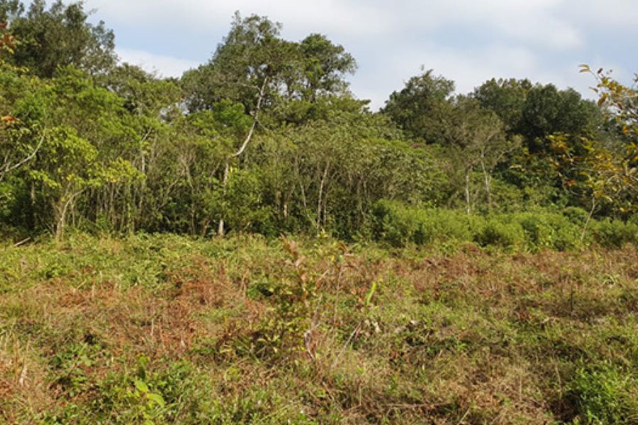 Divulgação/Prefeitura de Praia Grande