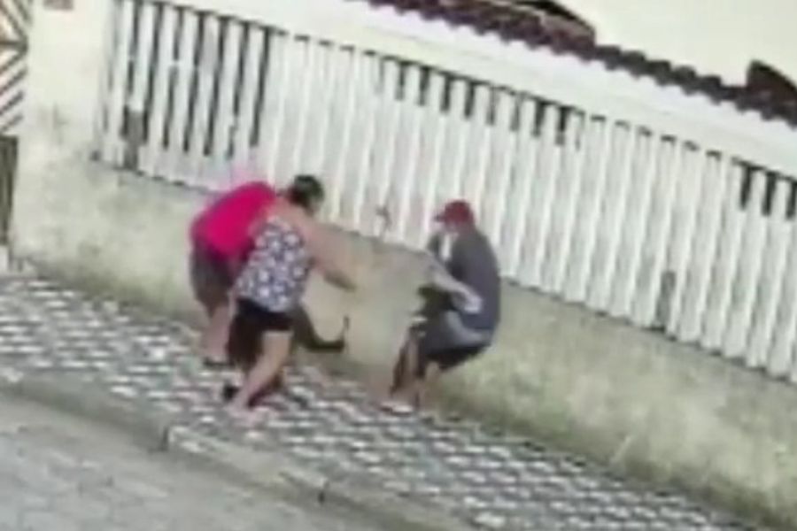 Reprodução/Mongaguá na Tela/Facebook