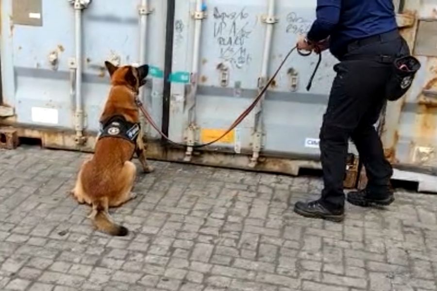 Apreensão de cocaína no Porto de Santos