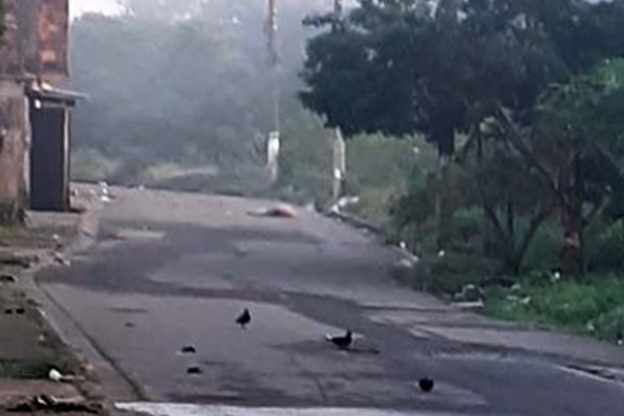 Reprodução/PGinfomidia