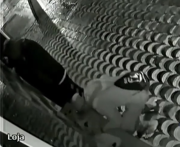 Quadrilha quebra vitrine e furta produtos de loja de eletrônicos em São Vicente