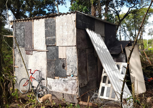 Homem é preso por desmatamento e construção em área irregular 