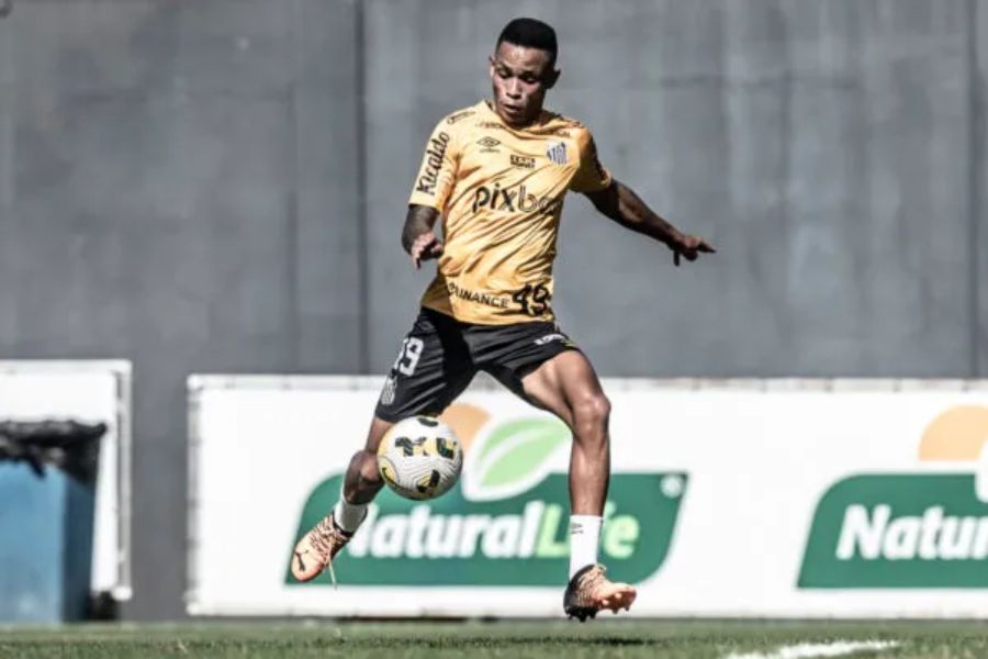 Reprodução/Meu Peixão