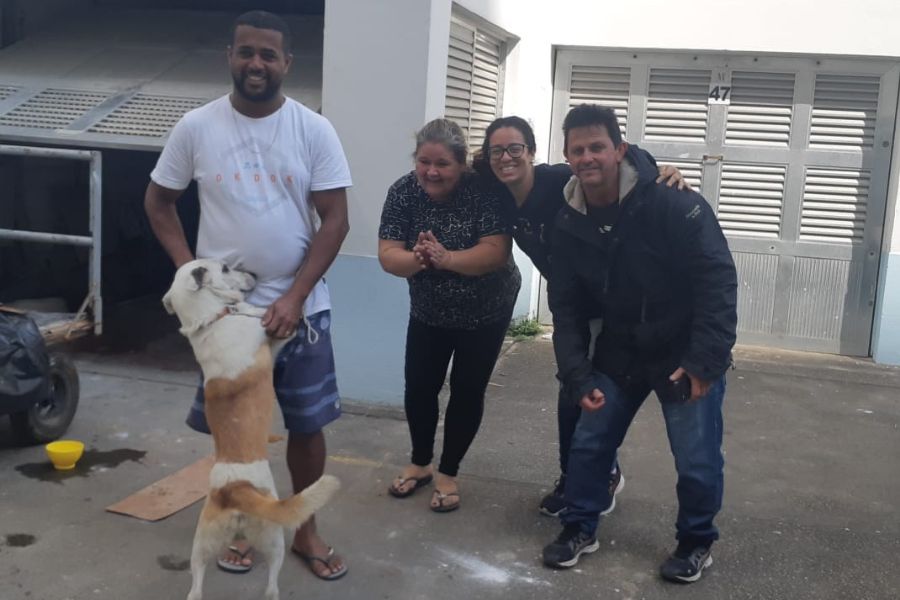 Cachorro que se perdeu em ônibus da região é encontrado e ganha nova família