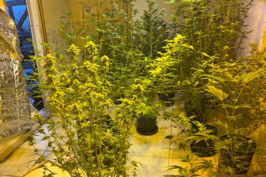 (Foto: Polícia Civil)