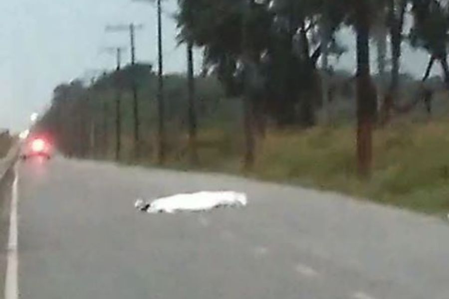 Dois corpos são encontrados baleados em avenida de Praia Grande