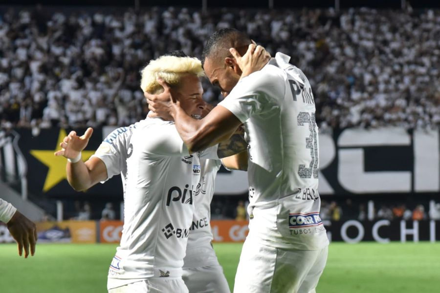 Foto: Ivan Storti / Santos FC