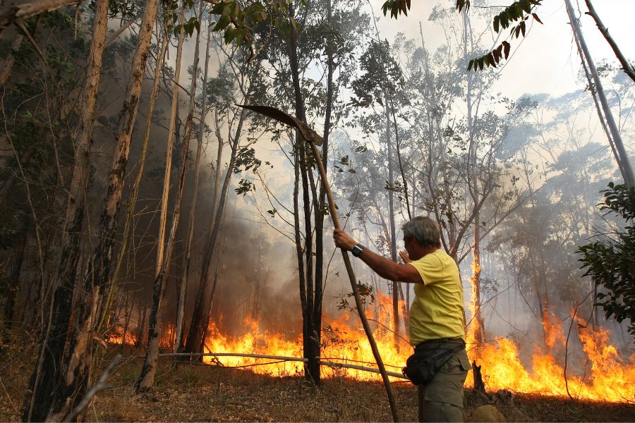 Legenda: ***ARQUIVO*** BRASÍLIA, DF, BRASIL, 11-09-2011 - Brigadista do Ibama tenta ajudar a controlar incêndio na Floresta Nacional de Brasília (DF), em 2011, quando a mata teve 70% de sua área destruída pelo fogo. (Foto: Sérgio Lima/Folhapress)
Serviço/Categoria: Serviço Noticioso / Cotidiano, SNG Online / Cotidiano
Crédito:  Sergio Lima/Folhapress