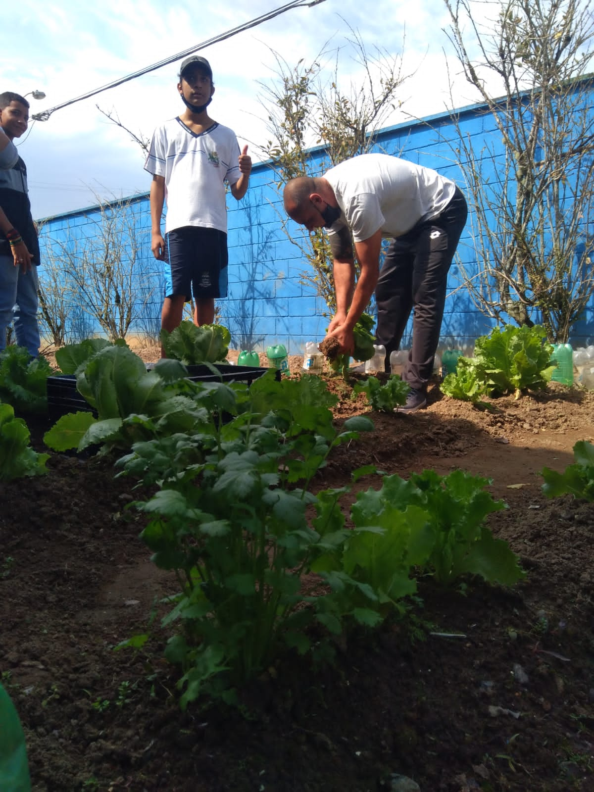 Professor cria projeto de consciência ambiental com cultivo de plantas 