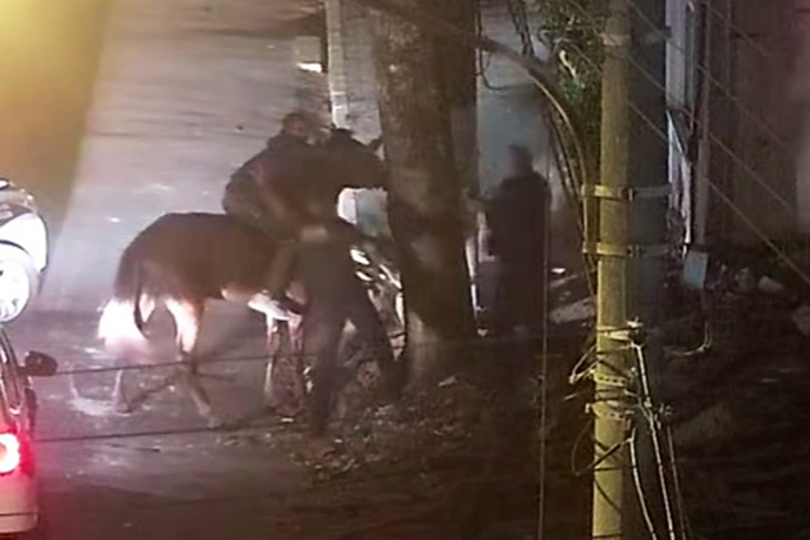 Divulgação/Prefeitura de Guarujá