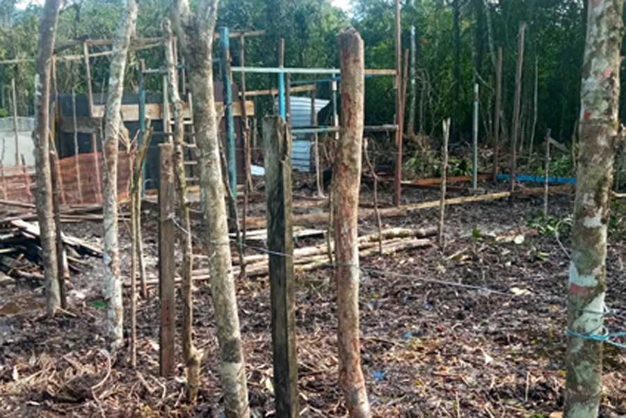 Divulgação/Prefeitura de Praia Grande