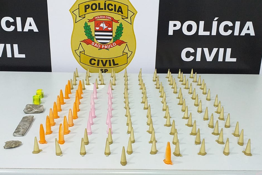Divulgação/Polícia Civil