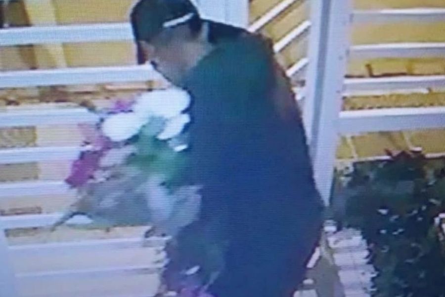 Reprodução/Redes sociais