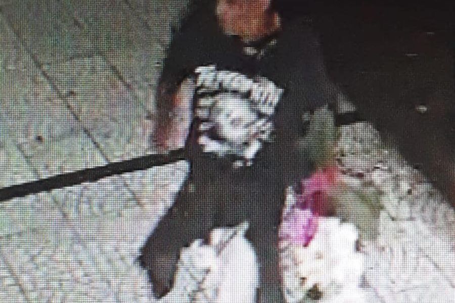 Moradores de Santos denunciam ladrão de orquídeas com vídeos nas redes sociais