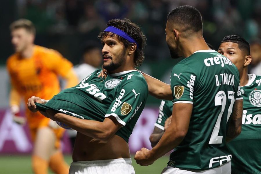 Cesar Greco/Palmeiras