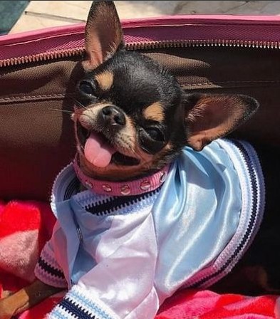 reprodução/instagram