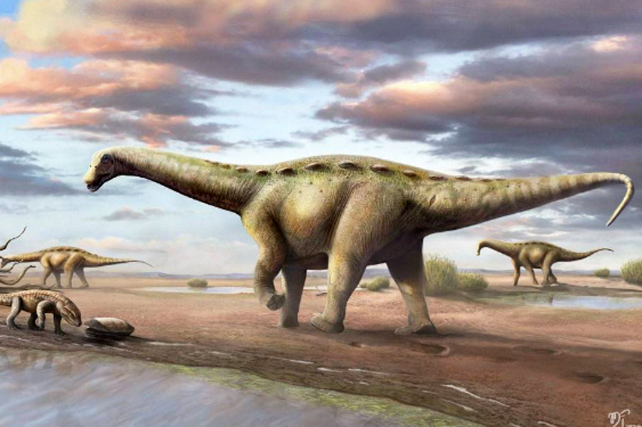 Reprodução/Twitter @alinemghilardi